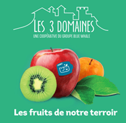 Les 3 domaines