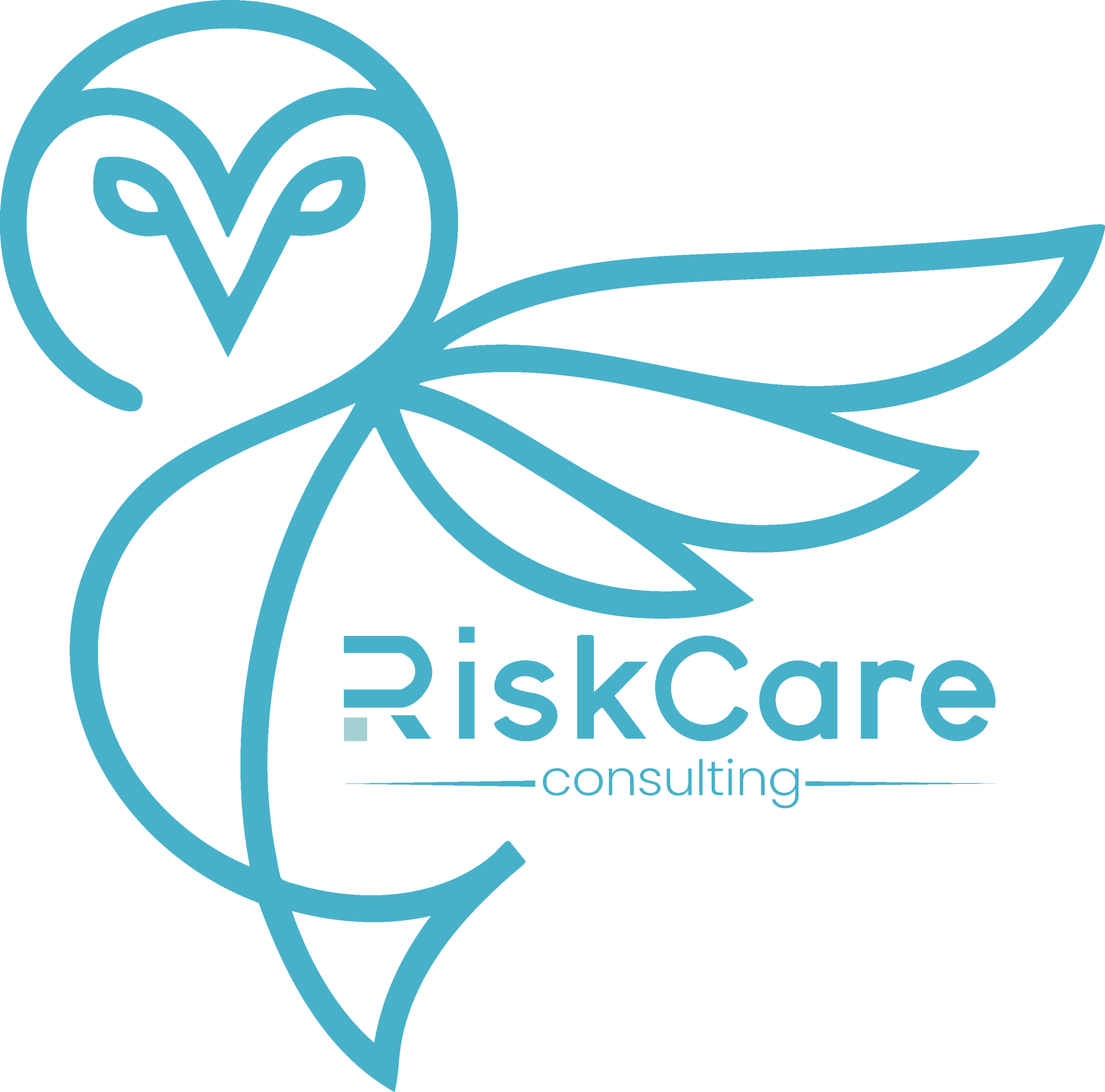 RiskCare Consulting