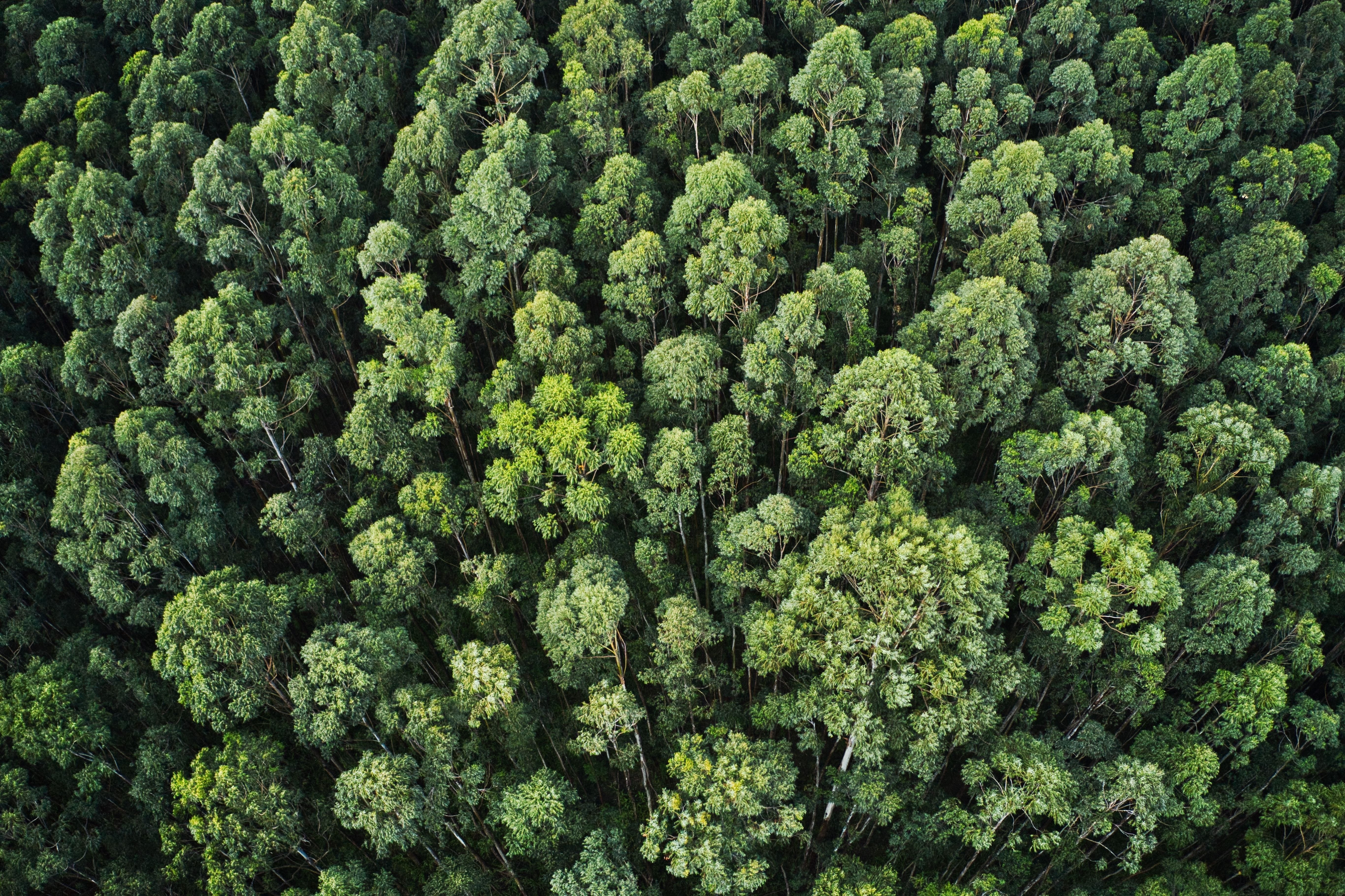 La Fédération nationale du Bois s’allie à RiskCare Consulting pour renforcer la prévention incendie dans la filière bois